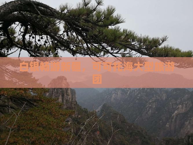 白银去新疆可可托海大型旅游团
