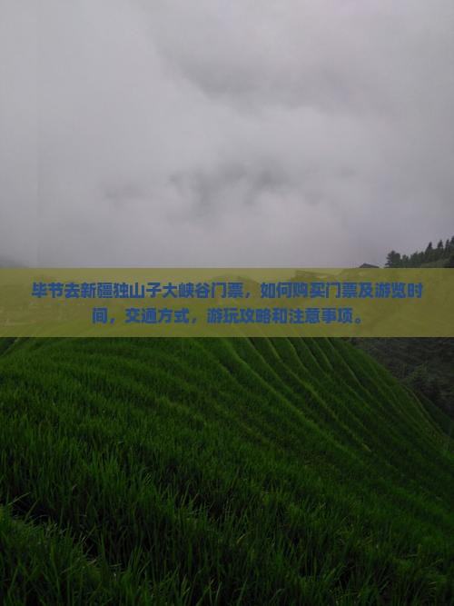 毕节去新疆独山子大峡谷门票