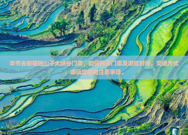 毕节去新疆独山子大峡谷门票
