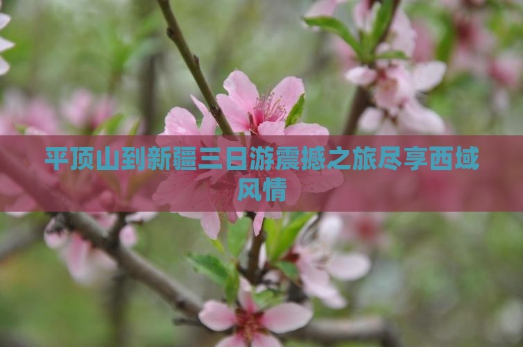 平顶山到新疆三日游