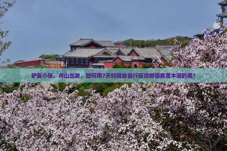 驴友小张，舟山出发，如何用7天时间自由行探访新疆赛里木湖的美？