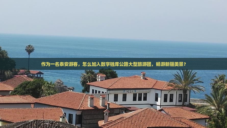 作为一名泰安游客，怎么加入数字独库公路大型旅游团，畅游新疆美景？
