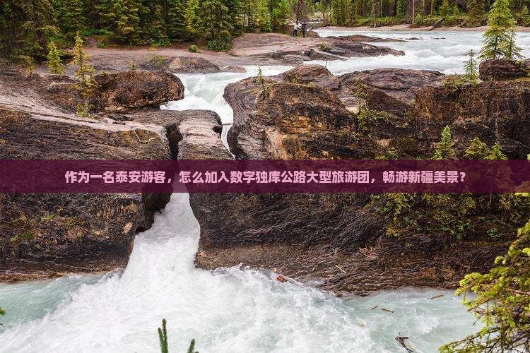 作为一名泰安游客，怎么加入数字独库公路大型旅游团，畅游新疆美景？