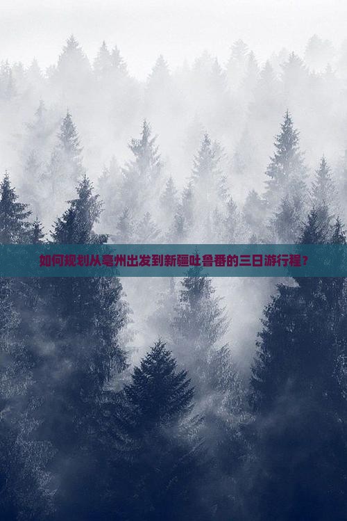 如何规划从亳州出发到新疆吐鲁番的三日游行程？