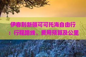 伊春到新疆可可托海自由行：行程路线、费用预算及公里数指南