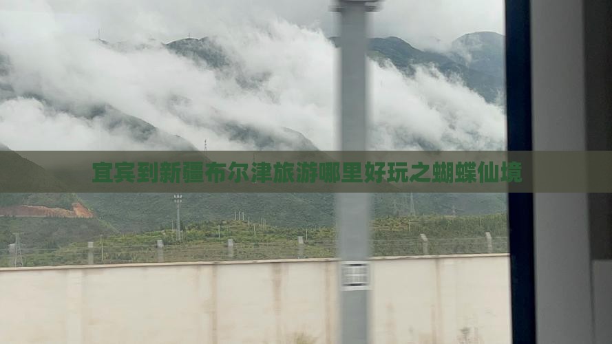 宜宾到新疆布尔津旅游哪里好玩之蝴蝶仙境