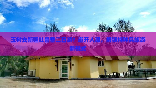 玉树去新疆吐鲁番二日游？避开人潮，解锁特种兵旅游新模式