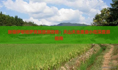 新疆伊犁哈萨克族旅游攻略：天山天池美食小吃深度游指南