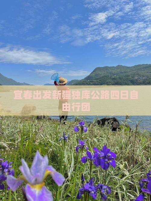 宜春出发新疆独库公路四日自由行团