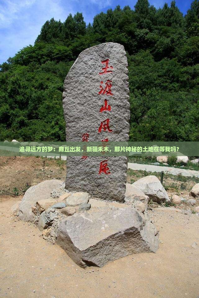 追寻远方的梦：商丘出发，新疆禾木，那片神秘的土地在等我吗？