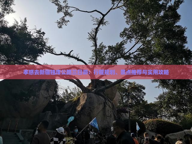 孝感去新疆独库公路三日游：行程规划、景点推荐与实用攻略