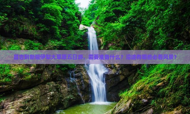 昌吉到新疆伊犁大草原五日游，需要准备什么？沿途有哪些必看风景？