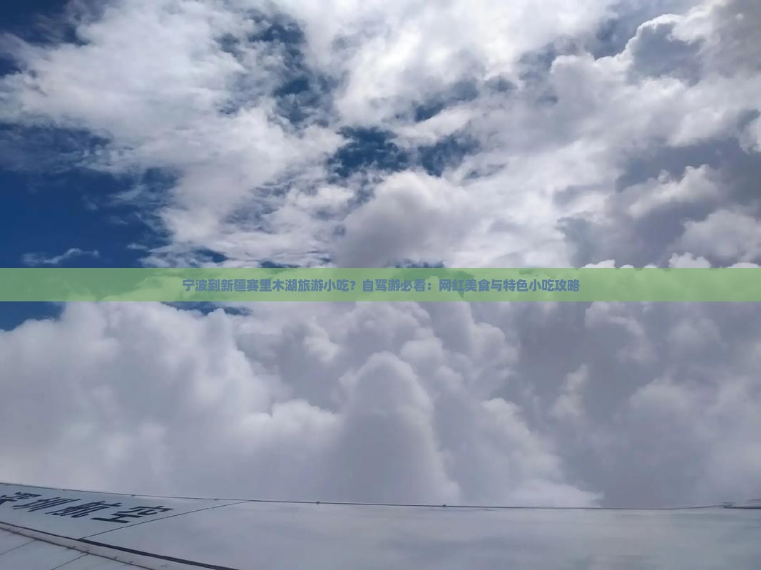宁波到新疆赛里木湖旅游小吃？自驾游必看：网红美食与特色小吃攻略