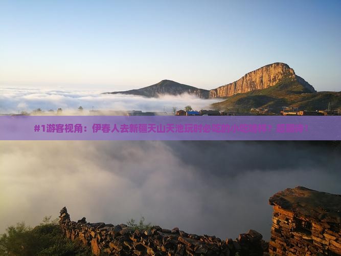 #1游客视角：伊春人去新疆天山天池玩时必吃的小吃啥样？超期待！