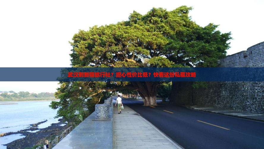 武汉到新疆旅行社？担心性价比低？快看这份私藏攻略
