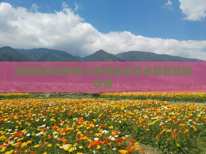 绵阳到新疆伊犁大草原旅游景点新疆旅游攻略