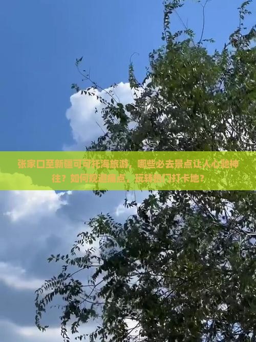 张家口至新疆可可托海旅游，哪些必去景点让人心驰神往？如何规避痛点，玩转热门打卡地？