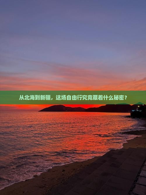 从北海到新疆，这场自由行究竟藏着什么秘密？