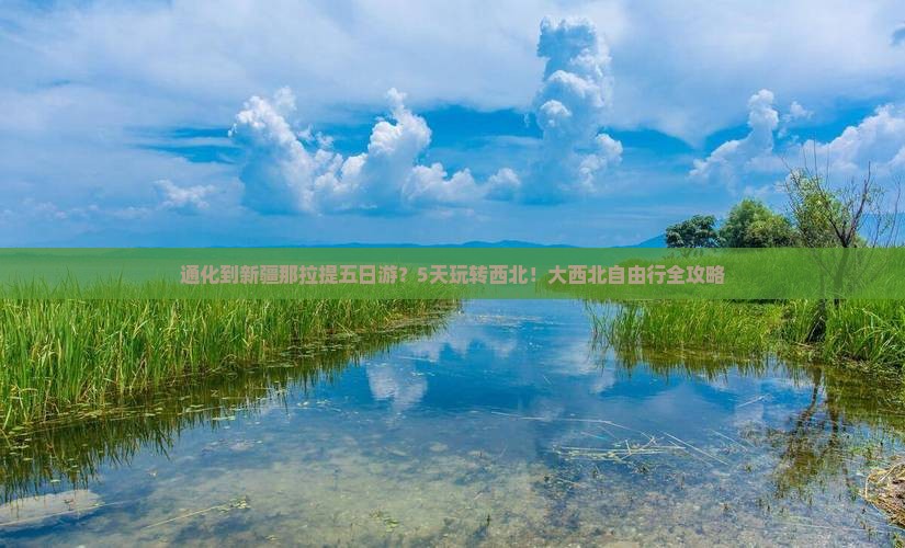 通化到新疆那拉提五日游？5天玩转西北！大西北自由行全攻略