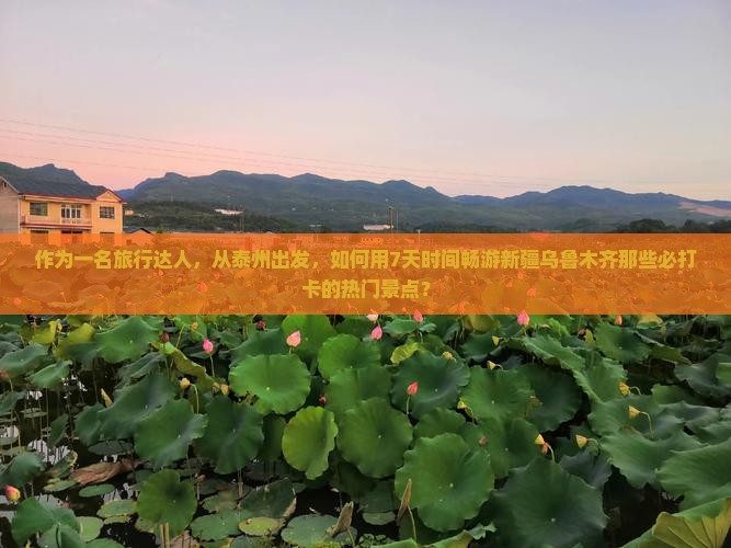作为一名旅行达人，从泰州出发，如何用7天时间畅游新疆乌鲁木齐那些必打卡的热门景点？