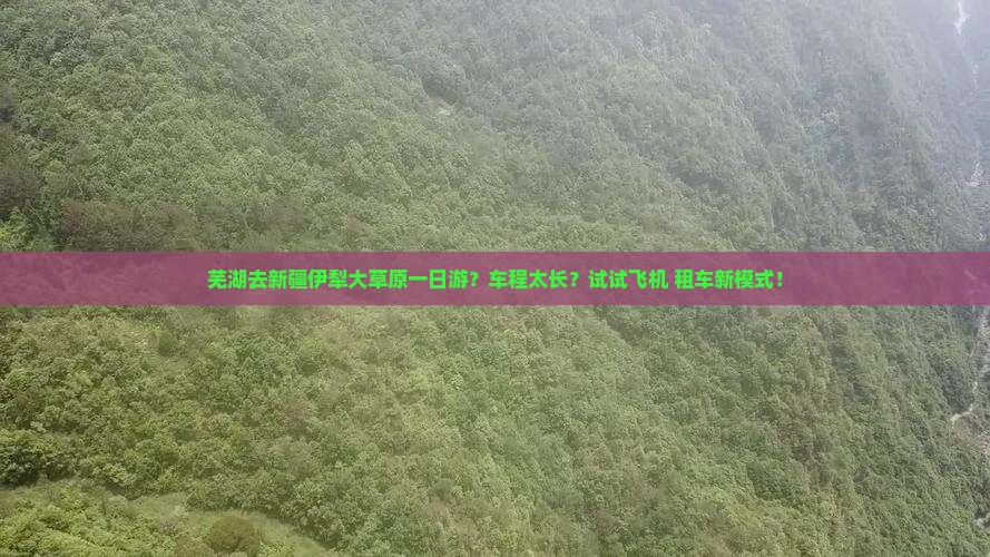 芜湖去新疆伊犁大草原一日游？车程太长？试试飞机+租车新模式！