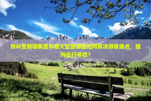 铁岭至新疆赛里木湖大型旅游团如何解决游客痛点，提升出行体验？