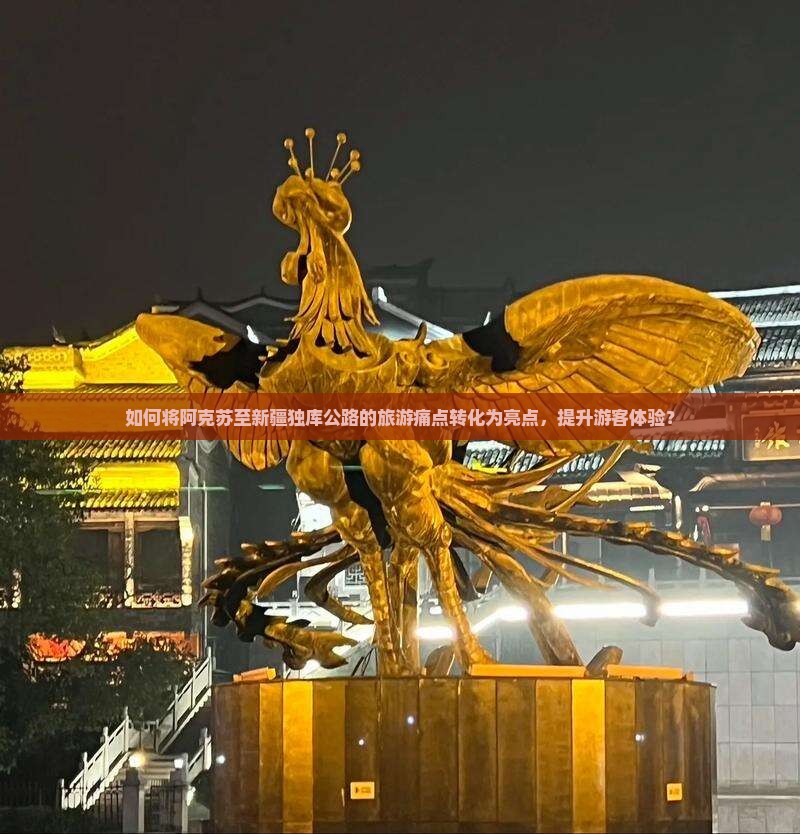 如何将阿克苏至新疆独库公路的旅游痛点转化为亮点，提升游客体验？