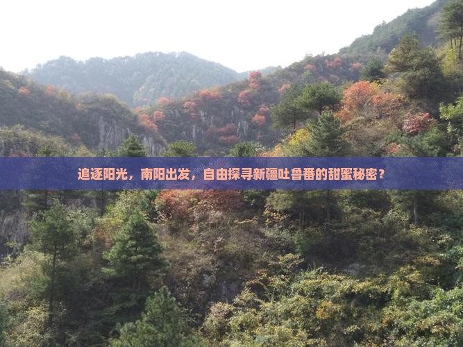追逐阳光，南阳出发，自由探寻新疆吐鲁番的甜蜜秘密？
