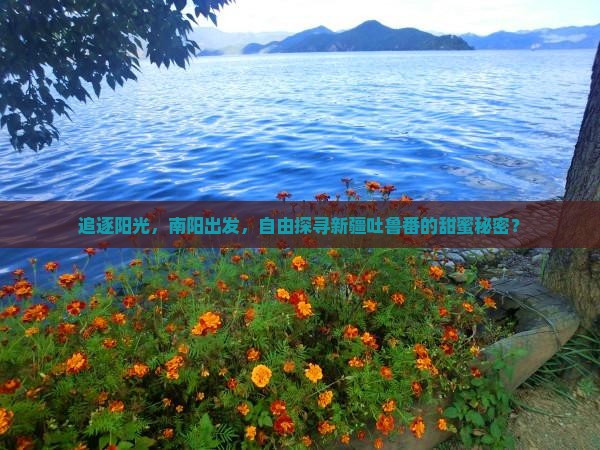 追逐阳光，南阳出发，自由探寻新疆吐鲁番的甜蜜秘密？