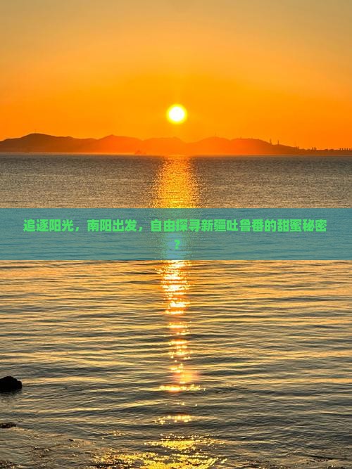 追逐阳光，南阳出发，自由探寻新疆吐鲁番的甜蜜秘密？