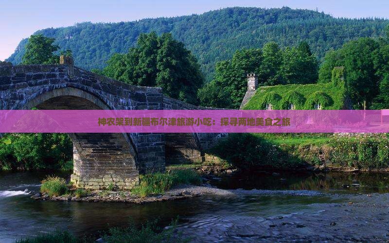神农架到新疆布尔津旅游小吃：探寻两地美食之旅