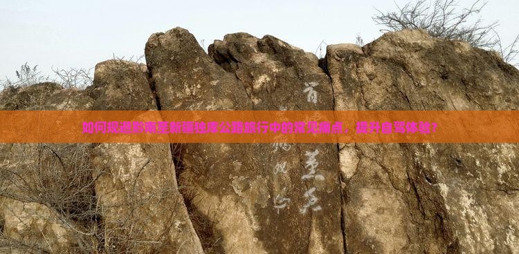 如何规避黔南至新疆独库公路旅行中的常见痛点，提升自驾体验？