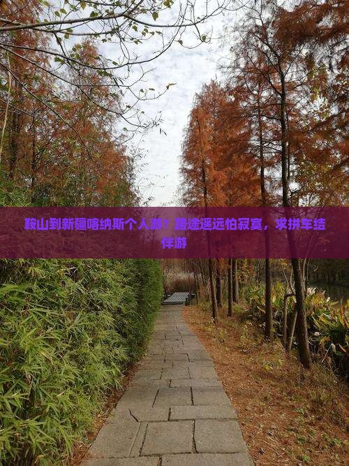 鞍山到新疆喀纳斯个人游？路途遥远怕寂寞，求拼车结伴游