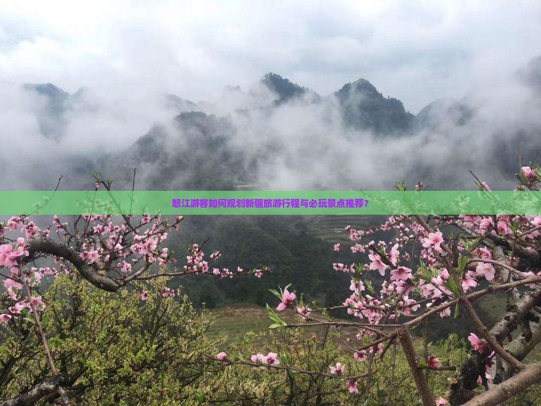 怒江游客如何规划新疆旅游行程与必玩景点推荐？