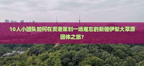 10人小团队如何在贵港策划一场难忘的新疆伊犁大草原团体之旅？