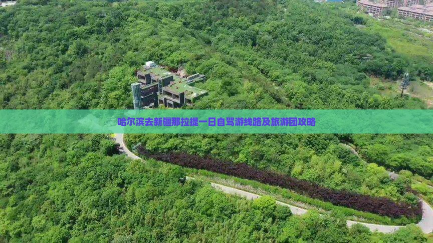 哈尔滨去新疆那拉提一日自驾游线路及旅游团攻略