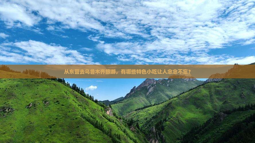从东营去乌鲁木齐旅游，有哪些特色小吃让人念念不忘？