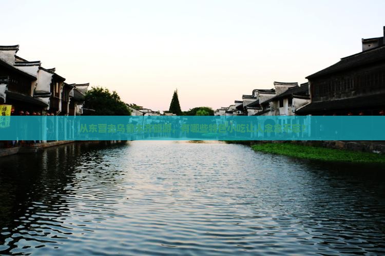 从东营去乌鲁木齐旅游，有哪些特色小吃让人念念不忘？