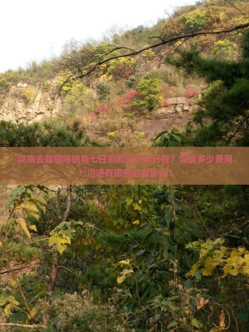 陇南去新疆喀纳斯七日游怎么安排行程？需要多少费用？沿途有哪些必看景点？