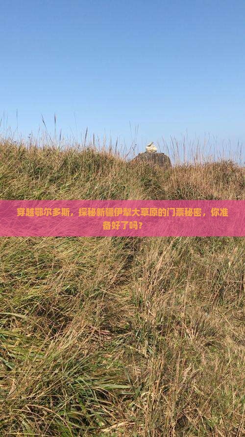 穿越鄂尔多斯，探秘新疆伊犁大草原的门票秘密，你准备好了吗？