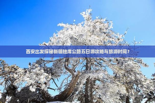 西安出发探秘新疆独库公路五日游攻略与旅游时间？
