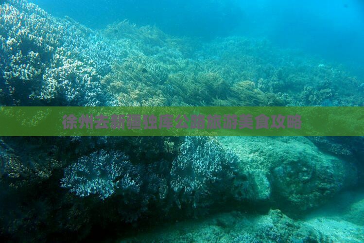 徐州去新疆独库公路旅游美食攻略