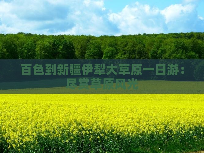 百色到新疆伊犁大草原一日游：尽赏草原风光