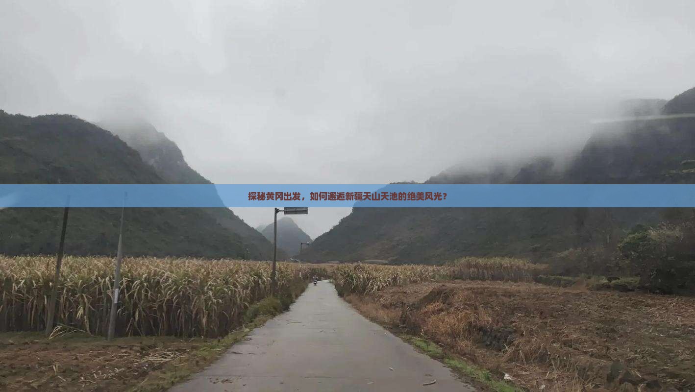 探秘黄冈出发，如何邂逅新疆天山天池的绝美风光？