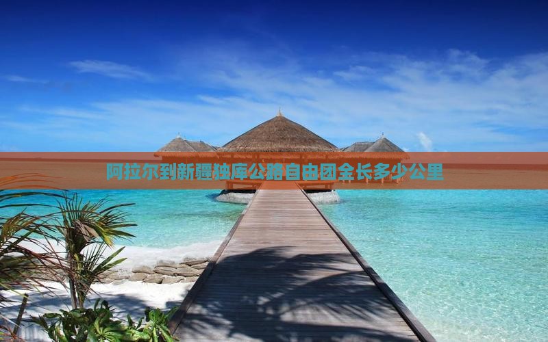 阿拉尔到新疆独库公路自由团全长多少公里