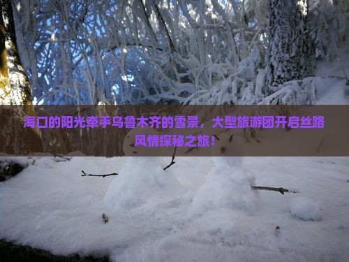海口的阳光牵手乌鲁木齐的雪景，大型旅游团开启丝路风情探秘之旅！