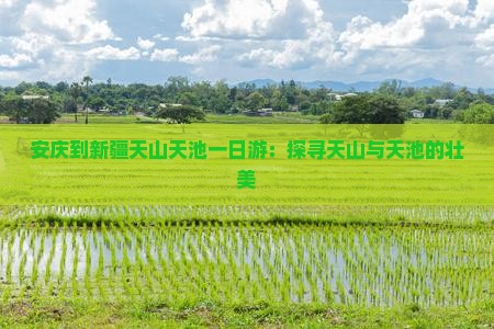 安庆到新疆天山天池一日游：探寻天山与天池的壮美