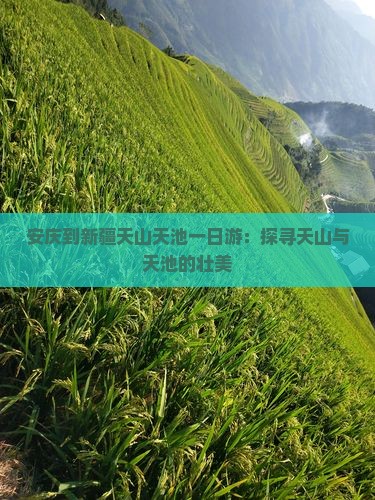 安庆到新疆天山天池一日游：探寻天山与天池的壮美