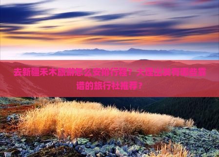 去新疆禾木旅游怎么安排行程？大理出发有哪些靠谱的旅行社推荐？