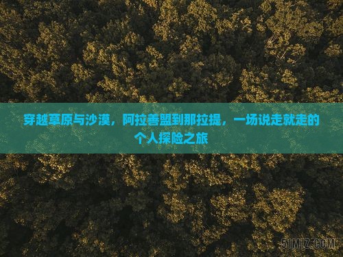 穿越草原与沙漠，阿拉善盟到那拉提，一场说走就走的个人探险之旅